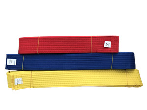 Taekwondo Belt Black Belt Protector  